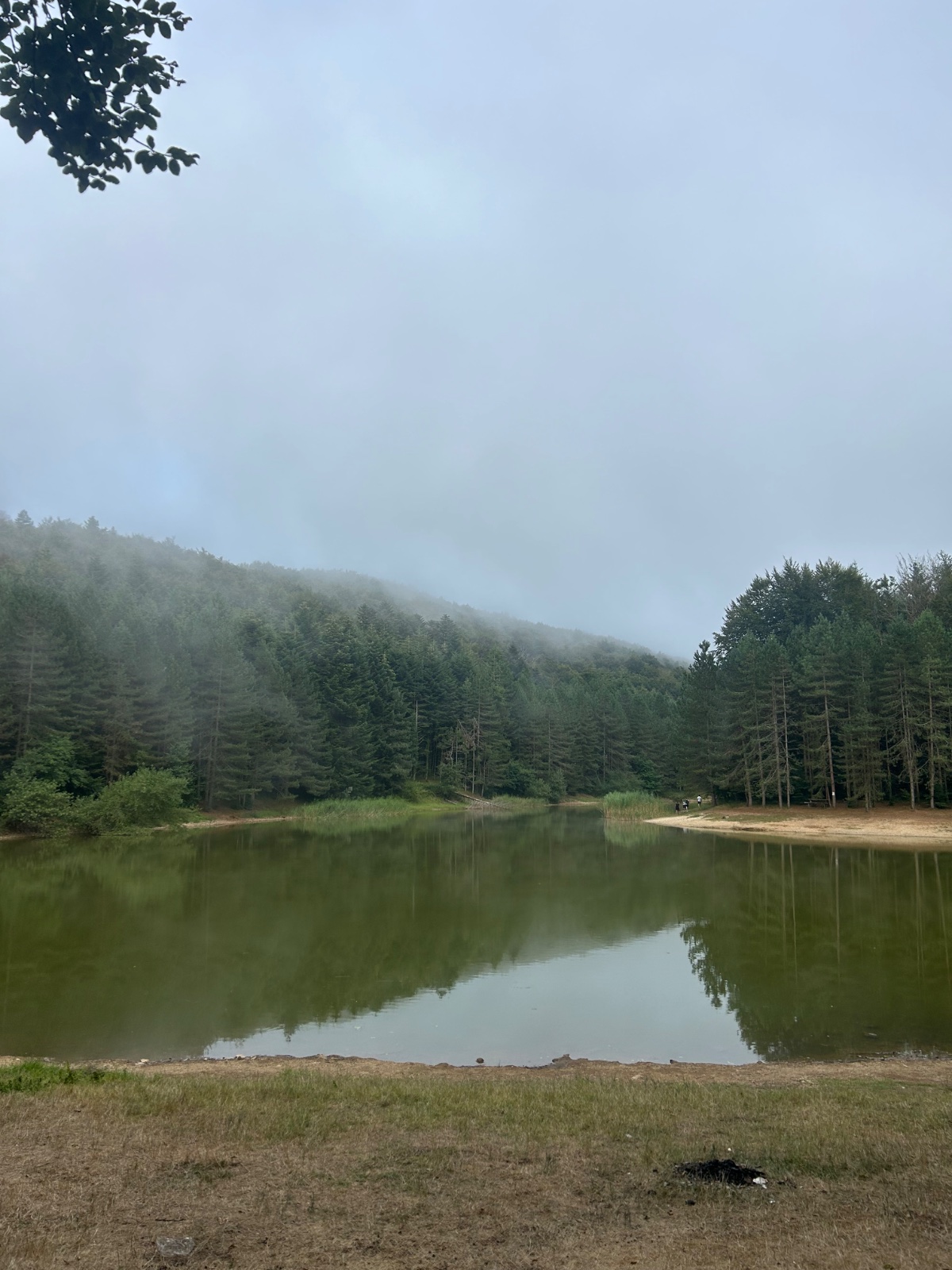 Lago della paglia · fagnano castello · foto 3