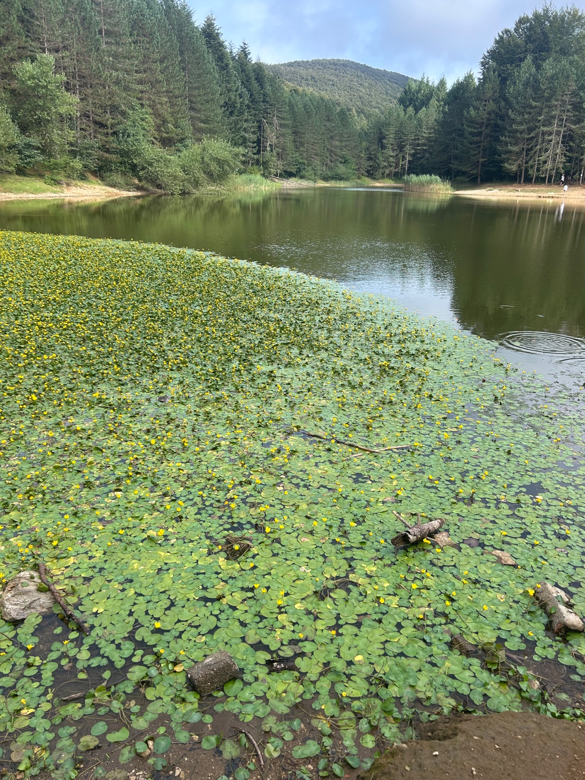 Lago della paglia · fagnano castello · foto 4